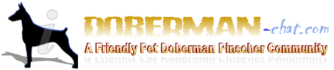 Doberman Chat Forum: Talk About Doberman Pinschers